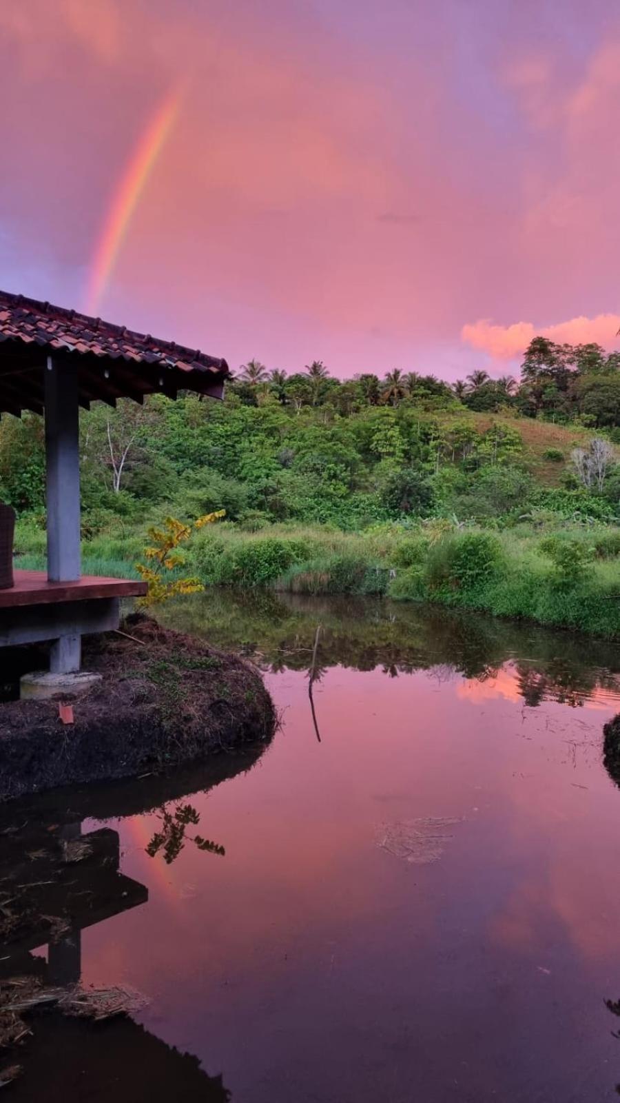 Laluna Eco Resort Pvt Ltd Beruwala Eksteriør billede